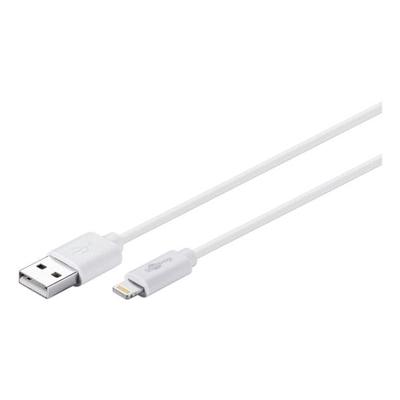 goobay DAT USB/Lightning-Kabel für iPad grün