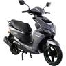 Motorroller ALPHA MOTORS ""Powermax 50 ccm 45 kmh EURO 5 (mit/ohne Topcase)"" & Mofas Gr. ohne Topcase, grau (dunkelgrau + schwarz)