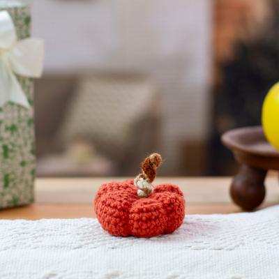 Cute Pumpkin,'Halloween Pumpkin Crocheted Decorative Accent in Red Hue'