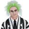 Beetlejuice Perücke Kostüm Accessoire für Erwachsene - Kostüm enthält verrückte Perücke mit grünem und grauem Haar - Kostüme für Karneval Geburtstagsfeiern und thematische Veranstaltungen Halloween