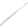 Pearl Flutes Dolce PF-695 RE