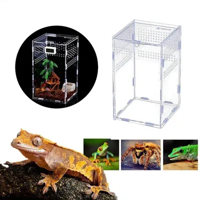 Reptilien-Lebensraum, Terrarium, Zuchtbox, Acryl, transparent, Insekt, Spinne, Eidechse, Skorpion, Image