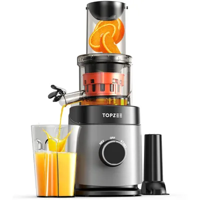 Cold Press Juicer, Detachable Bidirectional Filter Masticating Juicer Machines with 24 oz Juice Cup,