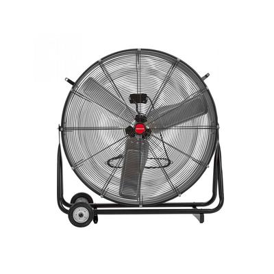 Fans
