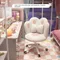 New Pretty Girls Cute Computer Office Chair Home Bedroom Dormitory Comfortable 360° Swivel Lift Back