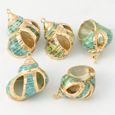 TEMU 5pcs Golden Edge Conch Pendants, Perfect For Necklace Bracelet Keychain Jewelry Making