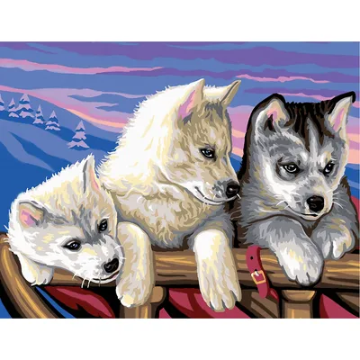 Malen nach Zahlen mit Acrylfarben Huskies, 38 x 29 cm Image