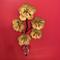 Anthropologie Wall Decor | Anthropologie Tole Hanging 5-Flower Hook Metal | Color: Brown/Yellow | Size: Os