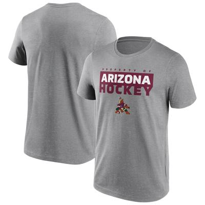 Arizona Coyotes Fanatics Branded Gain Ground T-Shirt - Sportgrau - Herren Image
