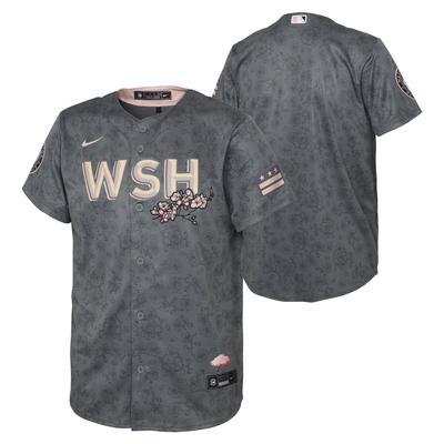 Washington Nationals Nike Offizielles Replica City Connect Trikot -Jugend Image