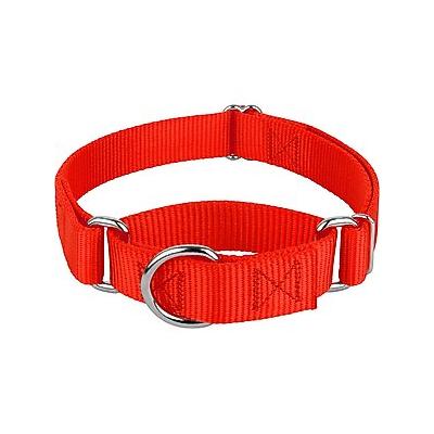 Country Brook Design Heavyduty Nylon Martingale Dog Collar, Hot Orange, Small: 11 to 15-in neck, 3/4-in wide