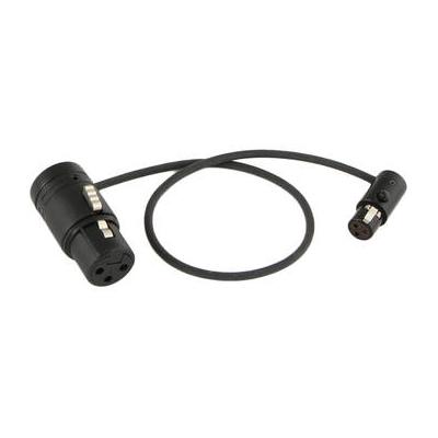 Cable Techniques CT-LPS-FX3T-12K Low-Profile LPXLR-3F to TA3F Cable (12
