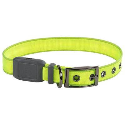 NiteDog Rechargeable XL Dog Collar - Lime 20-24in