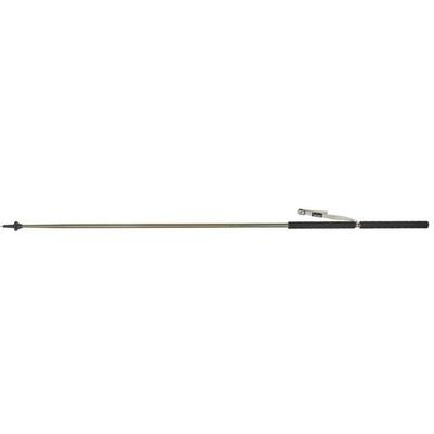 Kelty Strider Trekking Pole