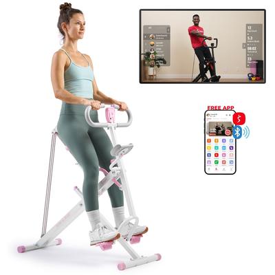 Sunny Row-N-Ride® Squat & Glute Machine in Pink P2100 SMART