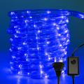 Swanew - 30M Tube Lumineux Extérieur led Guirlande Lumineuse Décoration,Bleu,avec Adapteur