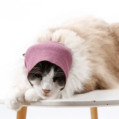 Haustier Anti-Lärm Ohren schützer weich bequem warm Kopf bedeckung Hunde Katzen Schönheit Ohren Image