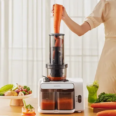 Large Caliber Juicer Household Low-speed Juicer Multifunctional Fruit Vegetable Screw Slow Juicer