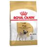 Royal Canin Carlin Adult pour chien - 7,5 kg