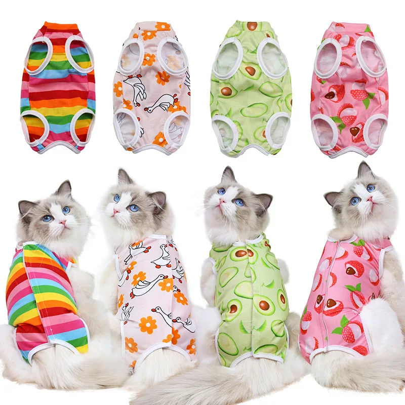 Combinaison de récupération professionnelle pour chat, pour blessures abdominales ou maladies cutanées, combinaison Spay pour chat féminin, combinaison neutre pour chats masculins