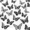 Décorations de papillon noir, 4 styles, 3 TANButterfly, décoration murale 3D, décorations de fête,