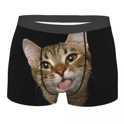 Männer Porträt von Inländischen Katze Unterwäsche Nette Kätzchen Gedruckt Boxer Briefs Shorts Image