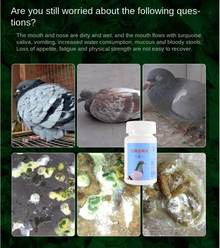 Trichomonas coccidiosa 50g Tauben mund gelber Wasser hocker Atem beschwerden Brieftaube Image