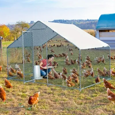 Metal coop Outdoor large walk-in hen house with cover 6.5x10x6.6ft