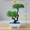 Home Decoration Colorful Artificial Bonsai Tree for Home and Garden Decorative, Small Pot, Fake