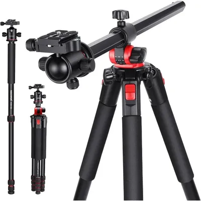 Tripods+Monopods