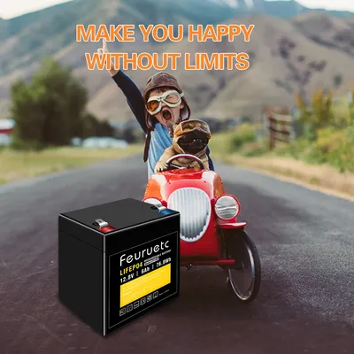 1-2 PCS 12V 6Ah LiFePO4 Battery, 3000 Cycles，Maintenance-Free Battery Low Self-Discharge, Built-in