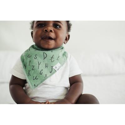 Copper Pearl Baby Bandana Bibs, 4 Pack - Chip