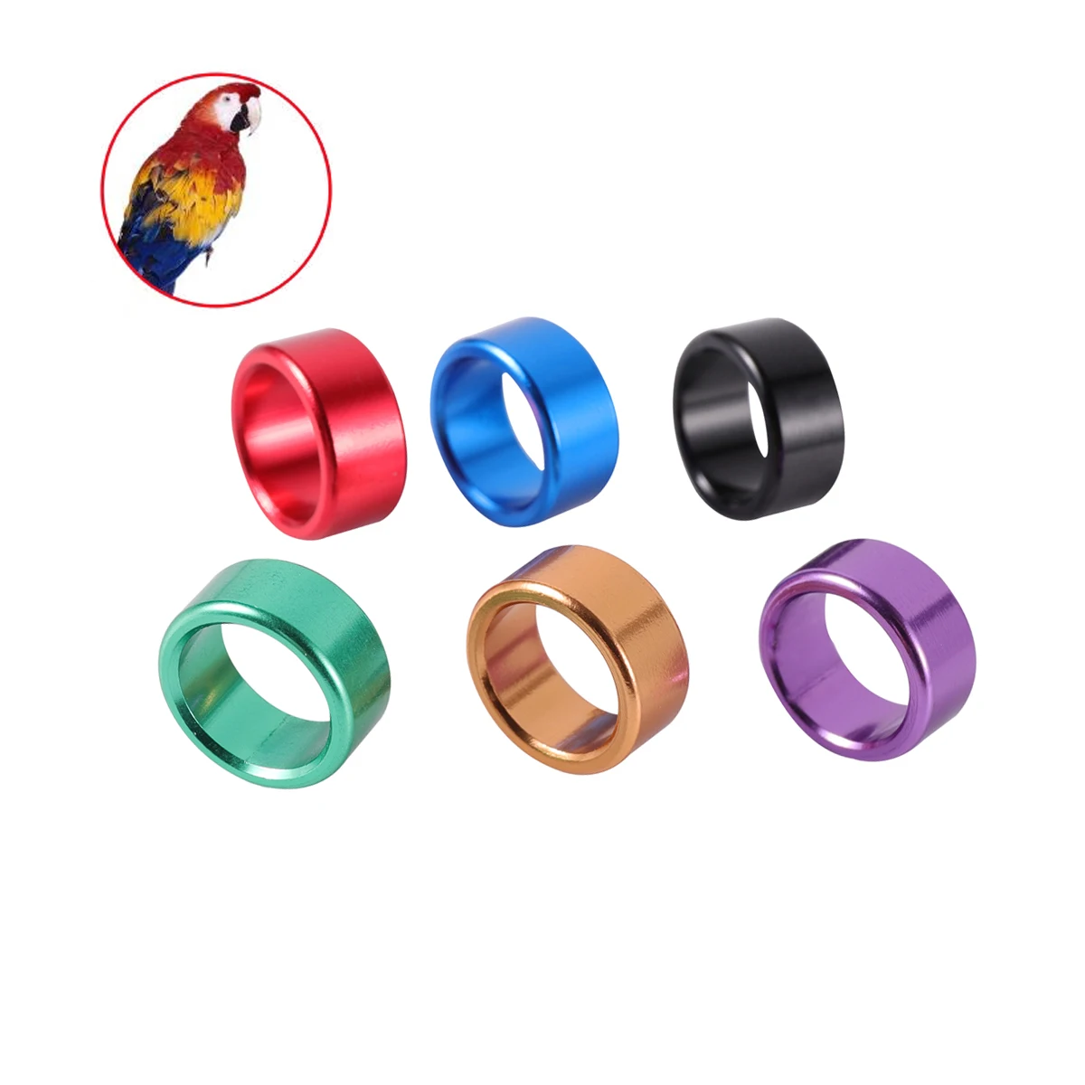 30 Stück Innendurchmesser 8 mm/10 mm Vogel-Fußringe Taube ParrotOutdoor Flugtraining Identifizierung Gerade Ringe aus Aluminiumlegierung Image