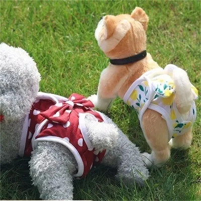 Hund physio logische Hosen niedlichen Druck Haustier Unterwäsche neue Welpen Kleidung Hündin Diper Image