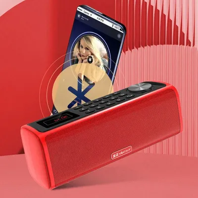 Mini tragbare FM Radio Handheld 10W Bluetooth-Lautsprecher TF-Karte USB-Musik-Player Unterstützung CVC Rausch unterdrückung Anruf/Aufnahme