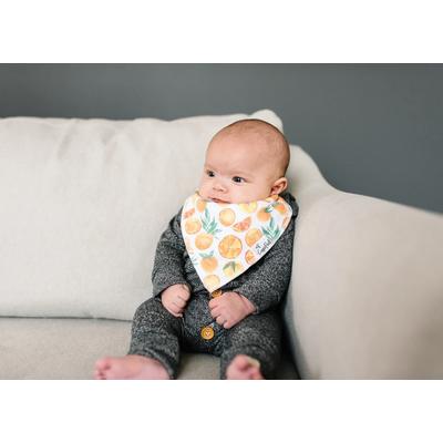 Copper Pearl Baby Bandana Bibs, 4 Pack - Citrus