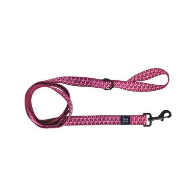 Hamilton A Day Together Ribbon Overlay Nylon Standard Dog Leash, Raspberry Star, Medium/Large: 6-ft long, 1-in wide