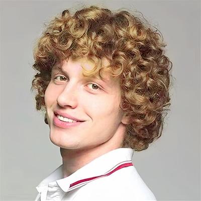 Brown Curly Short Afro Wig for Male Guy California Mens Cosplay Costume Daily Hair Synthetic Heat Resistant Mens Full Wigs