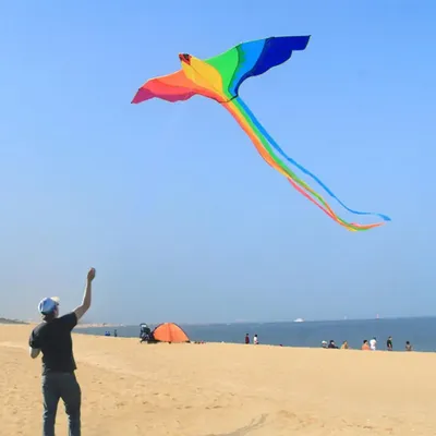 3D Phoenix Kite Giant Easy to Fly Long Tail Single Line Kites for Beach Toy