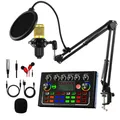 F009 scheda Audio BM800 Kit Mixer microfono 16 effetti sonori registrazione Audio Mixer Audio Mixer Console di missaggio amplificatore telefono PC