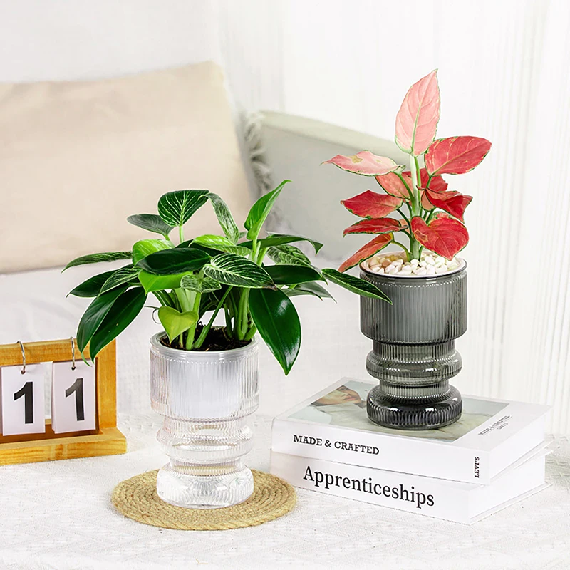 Lazy Hydroponic Blumentopf, automatischer wasserabsorbierender Blumentopf, selbstbewässernder Blumentopf, Kunststoffpflanzentopf, Heimdekoration Image