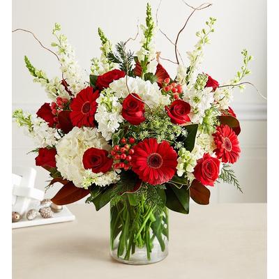 1-800-Flowers Seasonal Gift Delivery Abundant Christmas Blessings Large