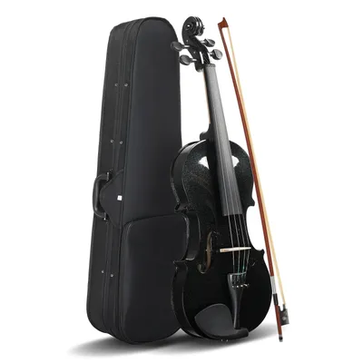 Full Size 4/4 Violin Set for Adults Beginners Students with Hard Case,Violin Bow,Shoulder