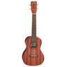 Cordoba Up 100 Ukulele Pack