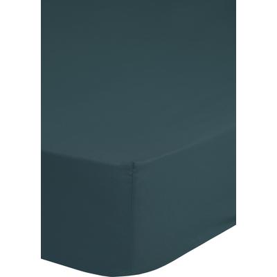 Spannbettlaken GOOD MORNING "Jersey Spannbettlaken", blau (petrol), B:90cm L:220cm, Jersey, Obermaterial: 100% Baumwolle, Laken, 100% Baumwolle, Jersey, Rundumgummi, bis 25 cm höhe, 90/100x200, Weiß Image