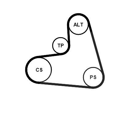 Continental Ctam Keilrippenriemensatz [Hersteller-Nr. 6PK1120K3] für Audi, Seat, Skoda, VW Image