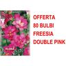 Offerta 80 bulbi freesia double pink bulbs bulbes