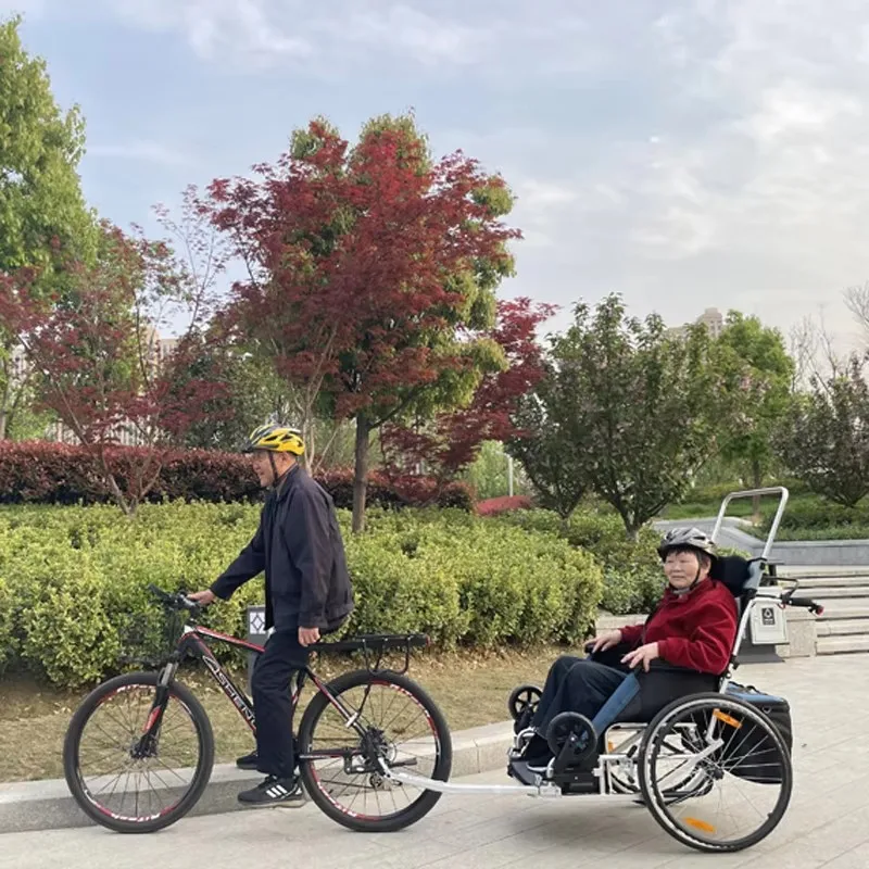 Fahrradanhänger für Kinder und Erwachsene, Jogger und Anhänger, Kinderwagen 3-in-1 mit 20-Zoll-Rädern, Träger für Erwachsene Image