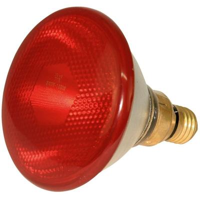 Kerbl Infrarotlampe Sparlampe rot (175 w, Wärmelampe für Schweine + Geflügel