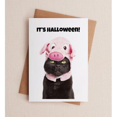 1-800-Flowers Everyday Gift Delivery Cat Halloween Greeting Card